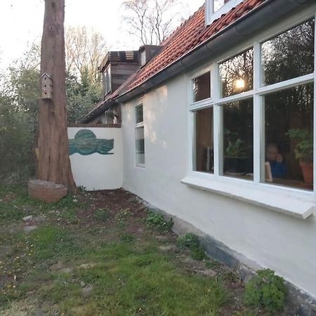 Vogelvrij Villa Vierhuizen Eksteriør bilde