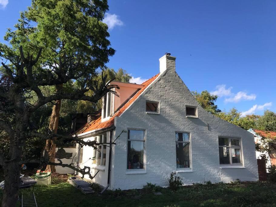 Vogelvrij Villa Vierhuizen Eksteriør bilde