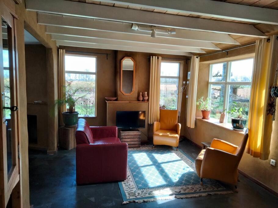 Vogelvrij Villa Vierhuizen Eksteriør bilde