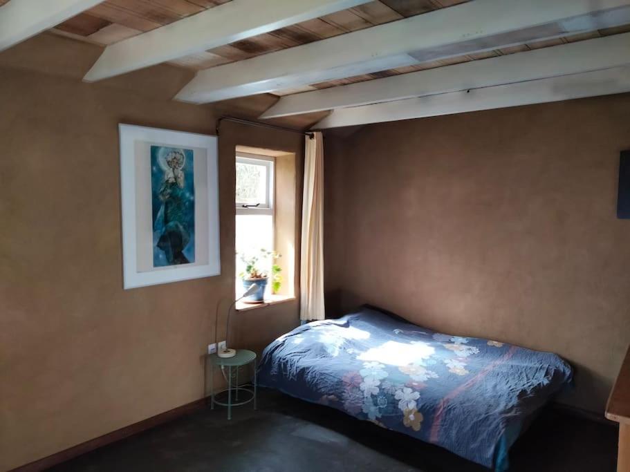 Vogelvrij Villa Vierhuizen Eksteriør bilde