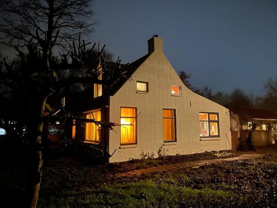 Vogelvrij Villa Vierhuizen Eksteriør bilde